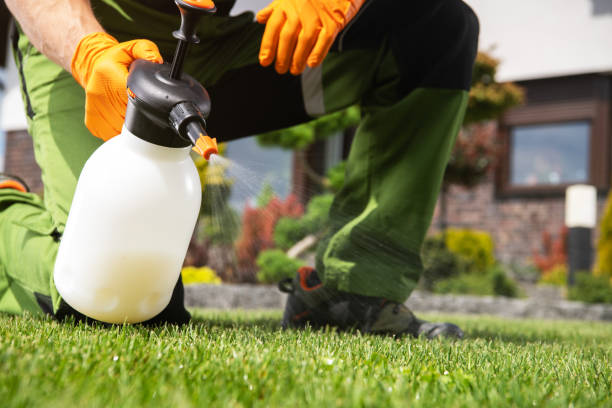 Best Best Pest Control Companies  in Marengo, IA