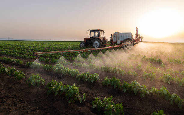 Best Pest Control Near Me in Marengo, IA