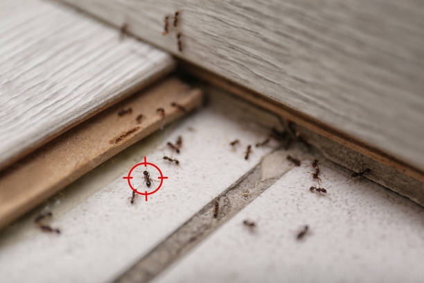 Best Pest Control Cost  in Marengo, IA