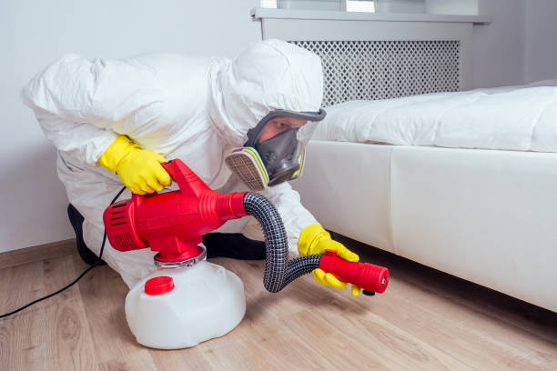Best Flea Control Services  in Marengo, IA