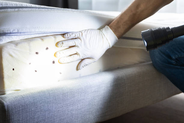 Best Residential Pest Control  in Marengo, IA
